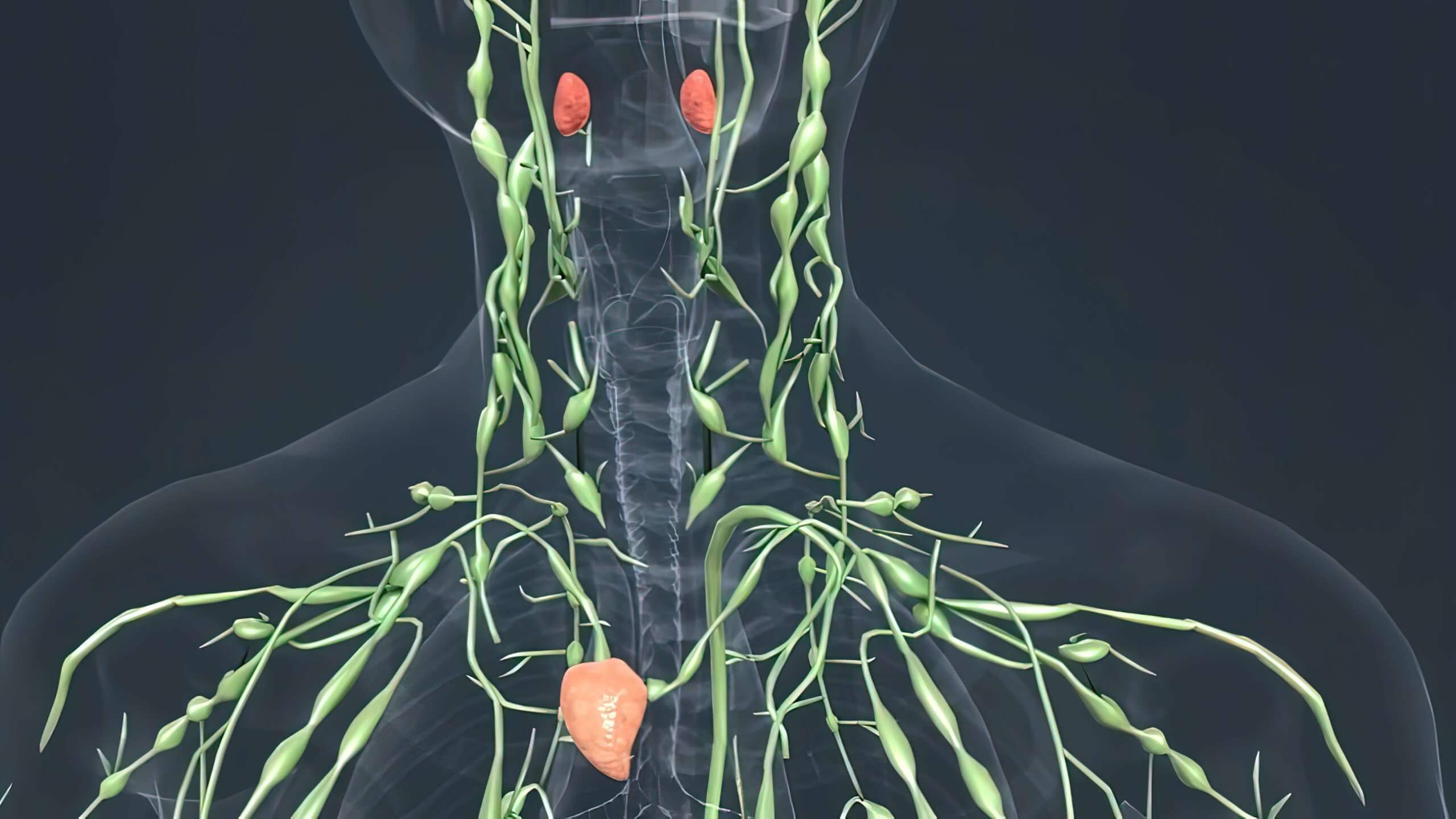 Targeted Therapy bei pädiatrischem Hochrisiko Hodgkin Lymphom