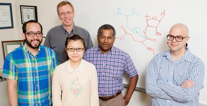 Credit: L. Brian Stauffer Manuel A. Ortega, Wilfred van der Donk, Yue Hao, Satish Nair und Mark Walker: