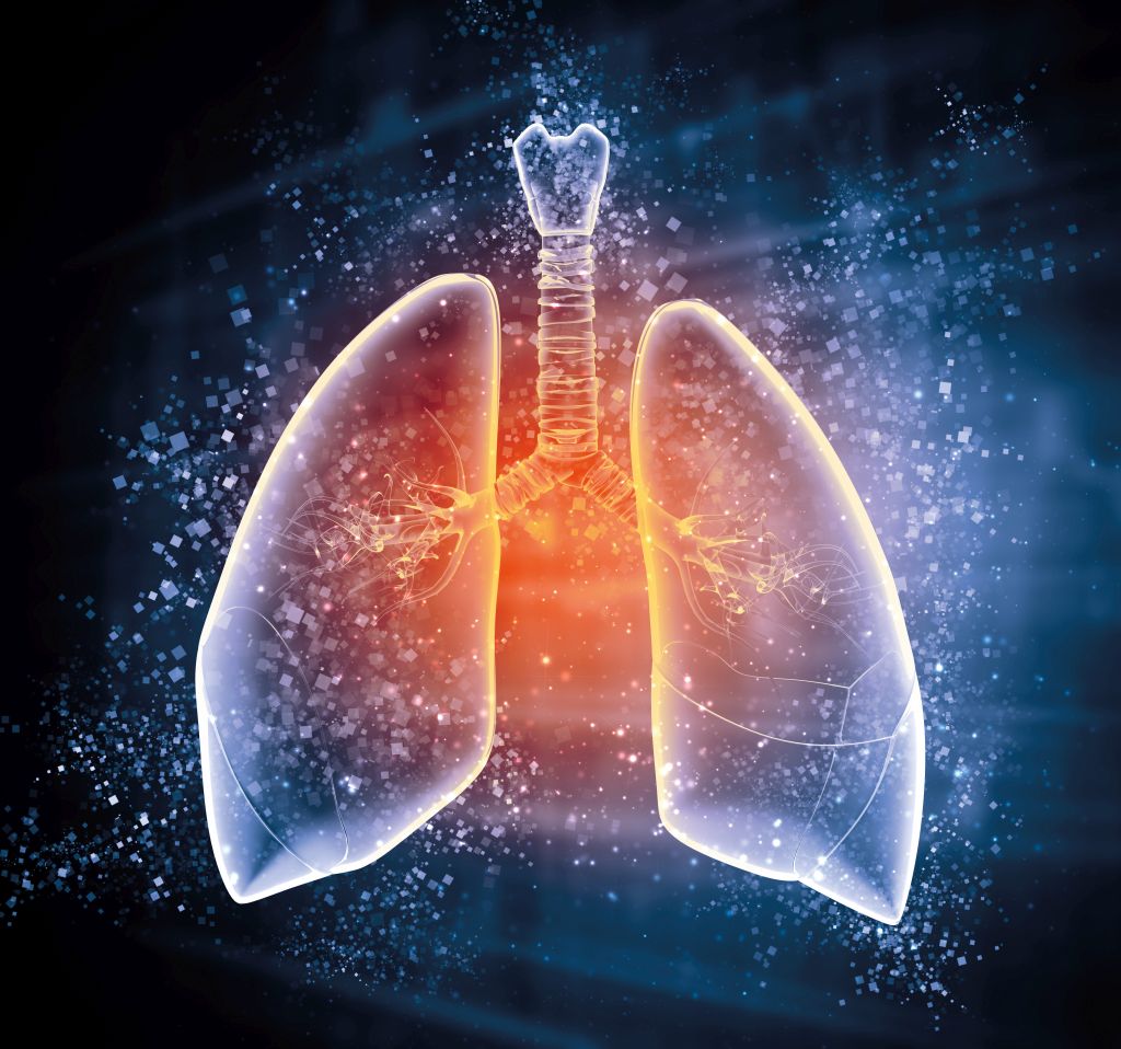 Die Lunge als Experimentierfeld - medonline