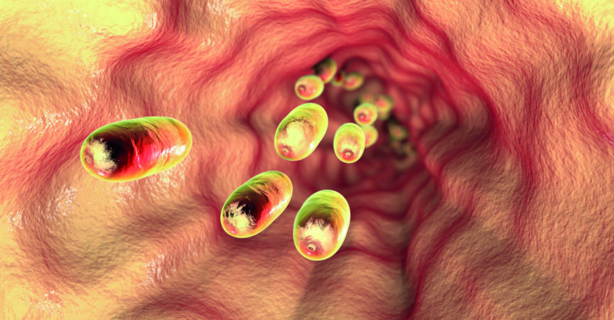 Pillen in der Speiseröhre, 3D-Illustration. Konzeptionelles Bild für die therapeutische Wirkung von Arzneimitteln
