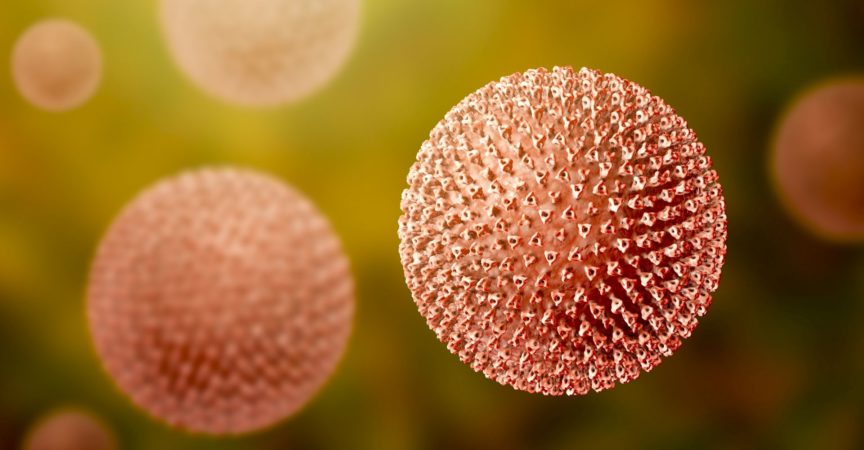 Masernviren, Abbildung zeigt die Struktur des Masernvirus mit Oberflächenglykoproteinspitzen