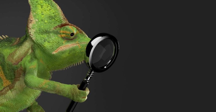 Chamäleon, das Vergrößerungsglas hält, das auf grauem Hintergrund lokalisiert wird. 3D-Illustration