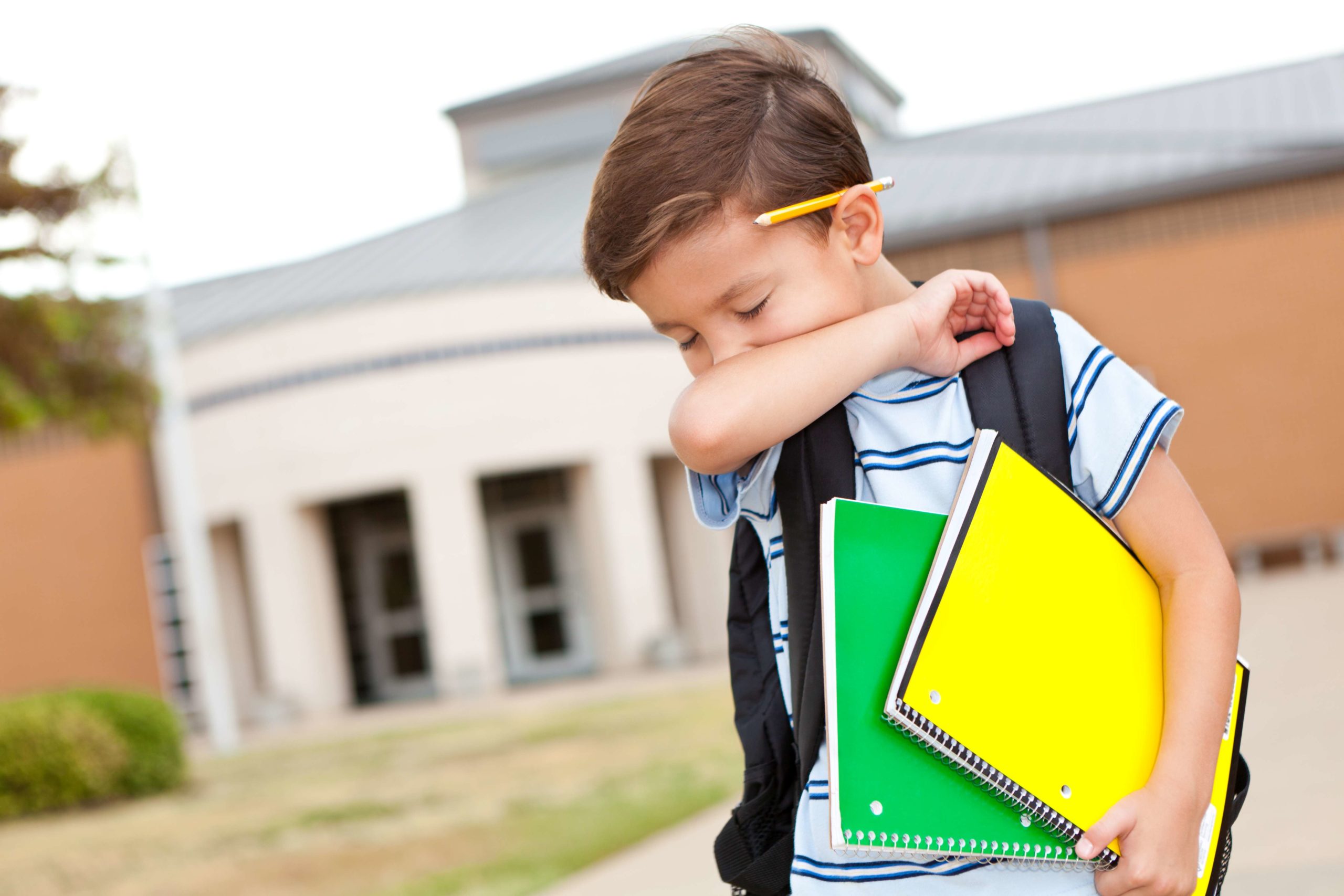 Children goes to school