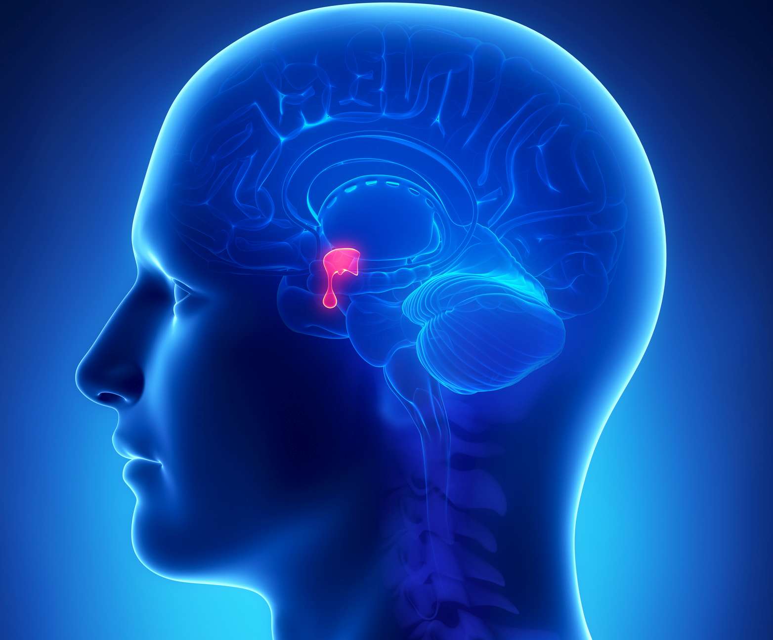 Gutartig, aber unartig