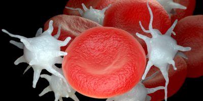 Rote Blutkörperchen und aktivierte Blutplättchen oder Thrombozyten. 3D-Illustration