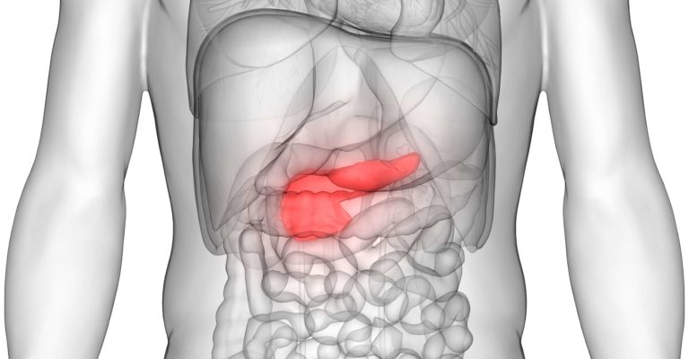 3D-Darstellung der Anatomie des menschlichen Körpers (Bauchspeicheldrüse)