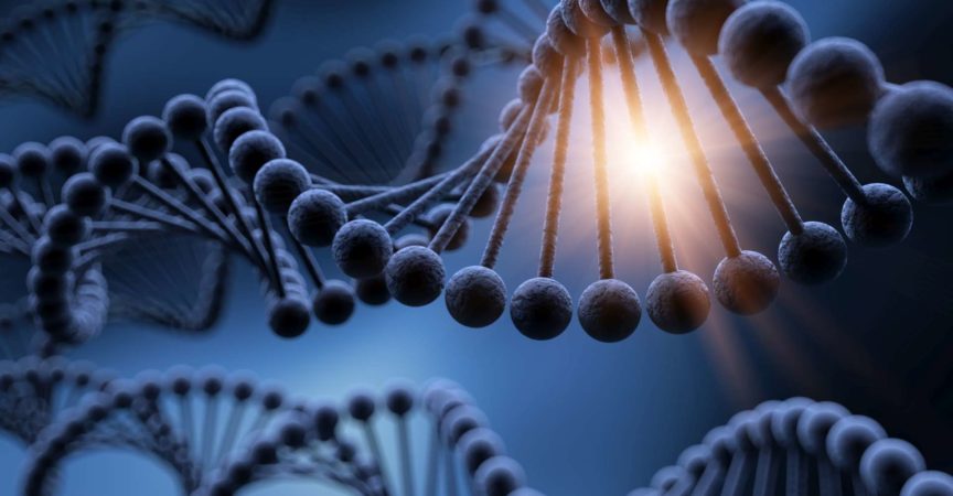 DNA, Adenin, Cytosin, Guanin, Labor, Zusammenfassung, Hintergründe, Biochemie, Biologie, Biotechnologie