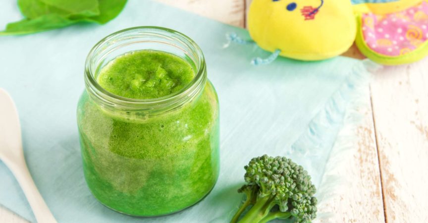 Babynahrung: grüner Bio-Brokkoli und Spinatpüree