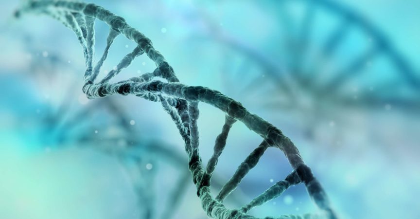 DNA-Strang
