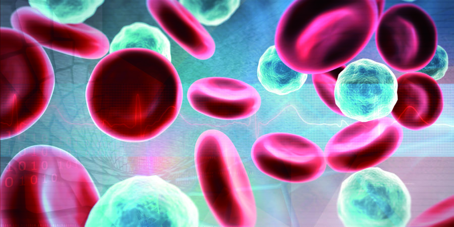 Rote und weiße Blutkörperchen. 3D-Illustration