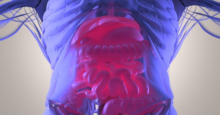 Verdauungssystem, menschliche Anatomie, Röntgen wie futuristischer Scan. 3D-Illustration.