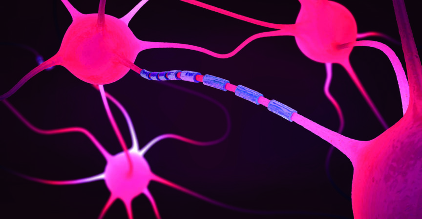 Verbundene Nervenzellen oder Neuronen - 3D-Illustration