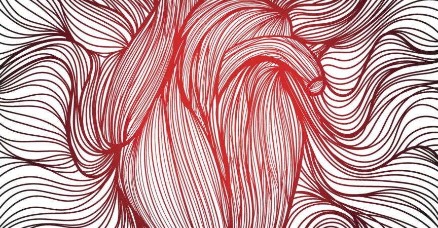 Vektorillustration eines gezeichneten aus vielen roten und schwarzen Linien anatomisches menschliches Herz auf weißem Hintergrund