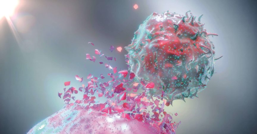3D-Rendering einer natürlichen Killerzelle (NK-Zelle), die eine Krebszelle zerstört