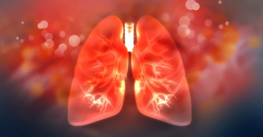 Menschliche Lunge auf wissenschaftlichem Hintergrund