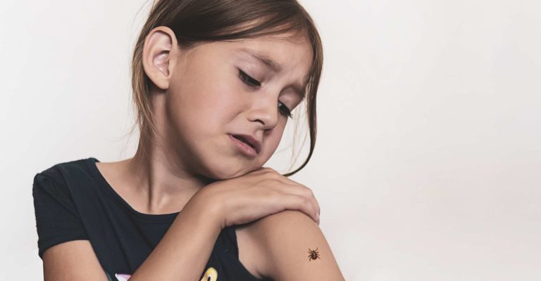 Eine gefährliche Zecke krabbelt auf der Hand des Kindes. Das Mädchen hat Angst vor Insekten.