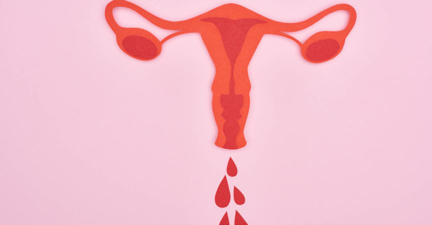 Draufsicht auf rotes Papier geschnittene weibliche Fortpflanzungsorgane mit Blutstropfen auf rosa Hintergrund