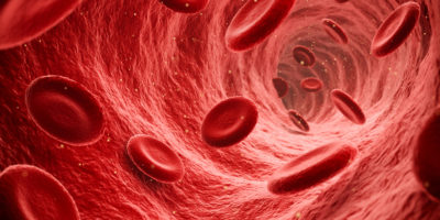 Endoskopische Ansicht von fließenden roten Blutkörperchen in einer Vene, Illustration rendern