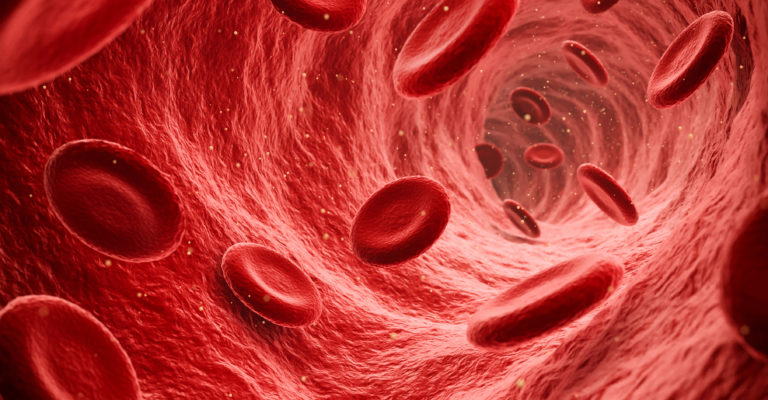 Endoskopische Ansicht von fließenden roten Blutkörperchen in einer Vene, Illustration rendern