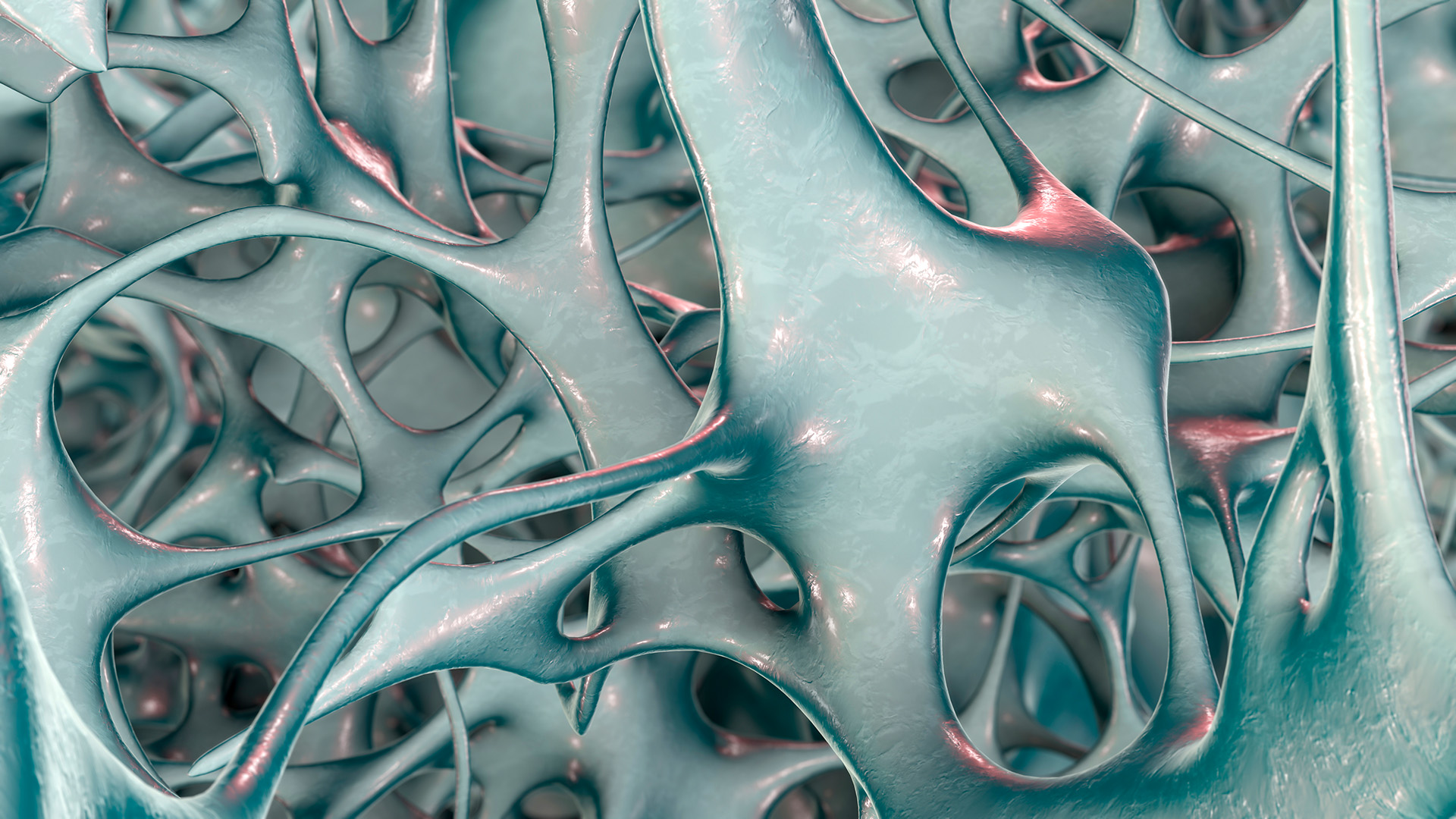 Нижние кости спины australopithecus sediba. Кость d3. Woven bone matrix. Ткани животных микрофотографии. Клетки костной ткани гистология.