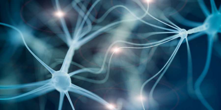 Neuronenzellnetzwerk - 3D-gerendertes Bild auf schwarzem Hintergrund