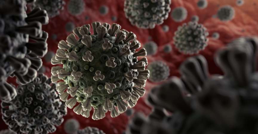 Coronavirus 2019-nCoV-Ausbreitung
