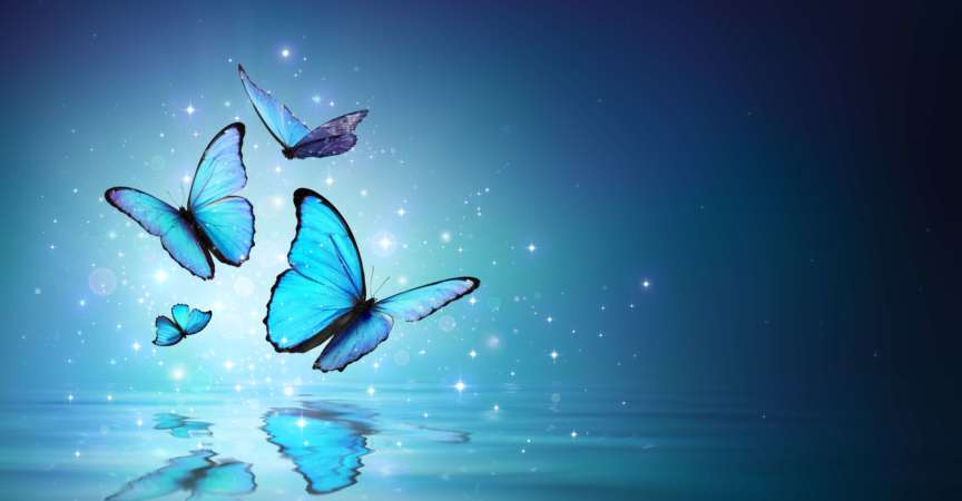 Morpho-Schmetterlinge auf mystischem Wasser
