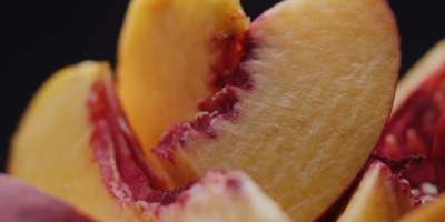 Frisch geschnittener Pfirsich extreme Nahaufnahme