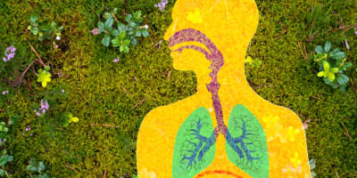 Composite illustration of lungs and airway with plants in the background.