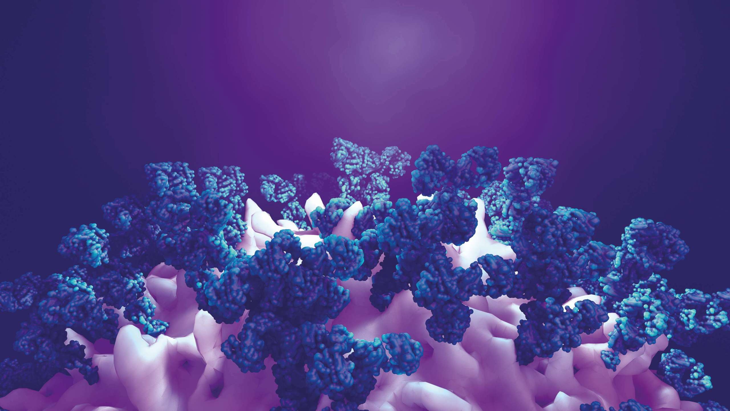 Perceptive Discovery and Nucleus RadioPharma Partner on Radiotherapy