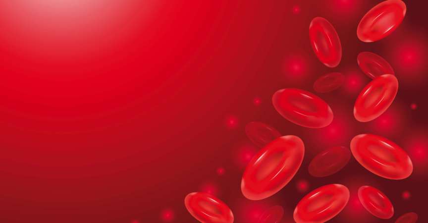 Blutkörperchen rote Erythrozyten