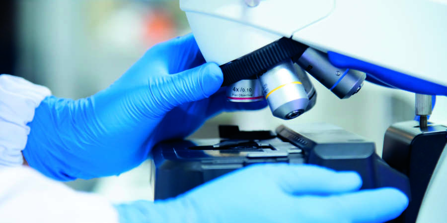 Schließen Sie herauf Handwissenschaftler im blauen Handschuh unter Verwendung des Mikroskops im Labor.