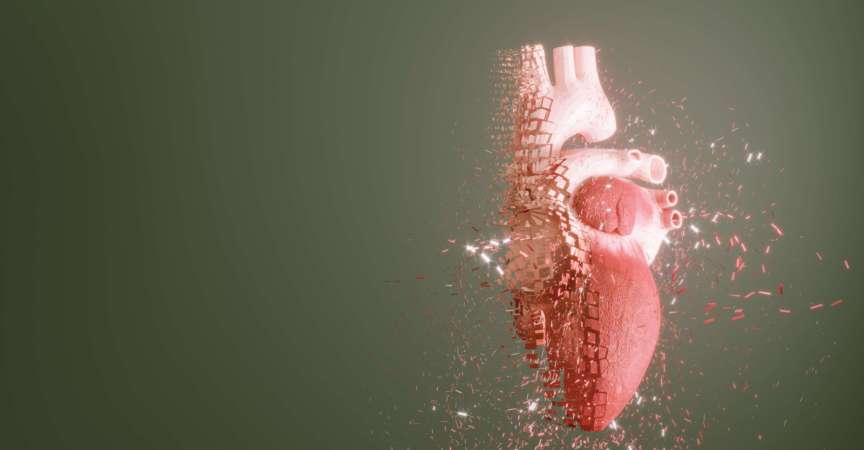 Digital erzeugtes sich auflösendes menschliches Herz, das die Gesundheit des Herzens symbolisiert. (3D-Darstellung)