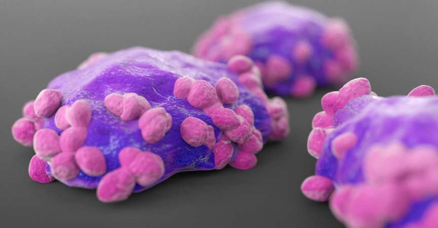 CliniCum onko Archive