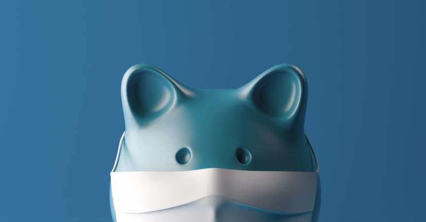 Sparschwein trägt eine chirurgische Maske auf blauem Hintergrund.