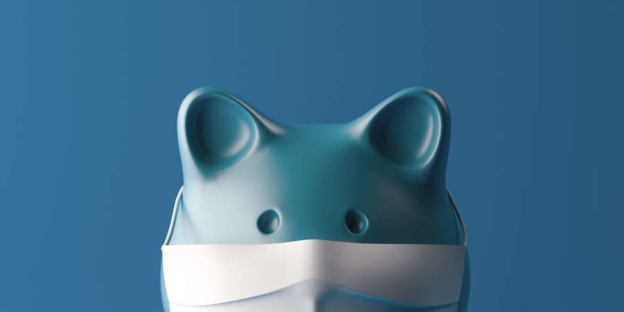 Sparschwein trägt eine chirurgische Maske auf blauem Hintergrund.