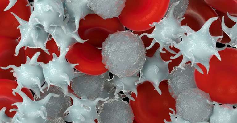 Mikroskopische Fotos von roten Blutkörperchen, aktivierten Blutplättchen und weißen Blutkörperchen