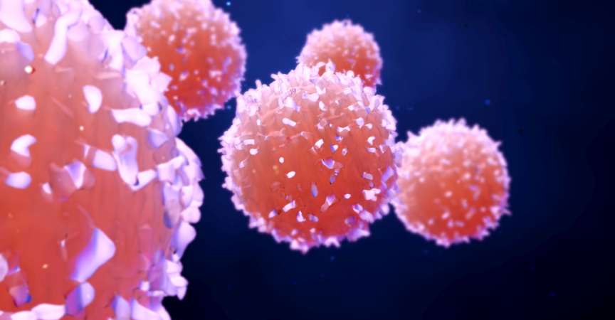 Nur eine einzige Zelle, die IL-1R1-positiven T-Zellen, ist spezifisch für Krebsgewebe