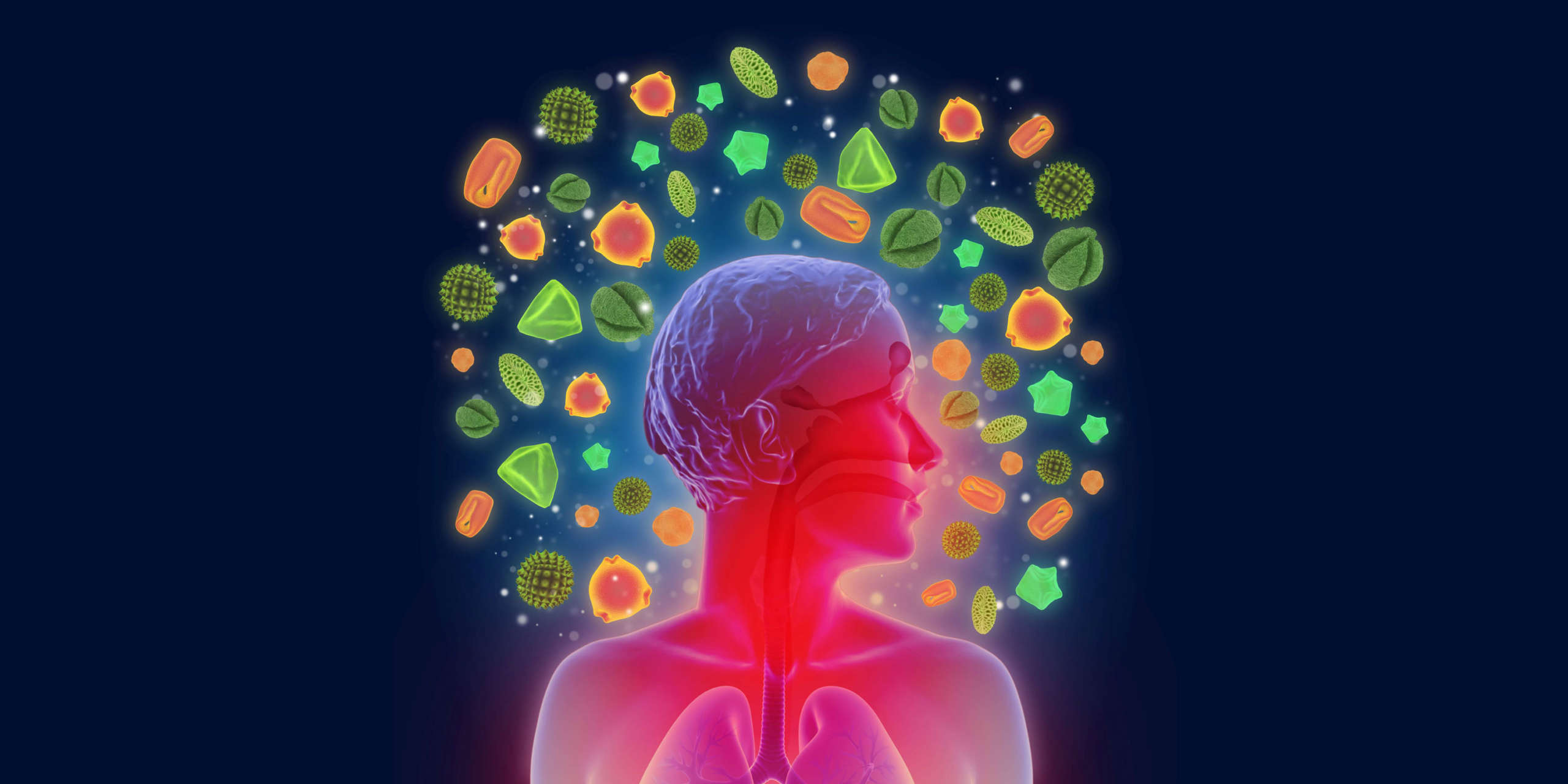 Das ABCDE der Anaphylaxie