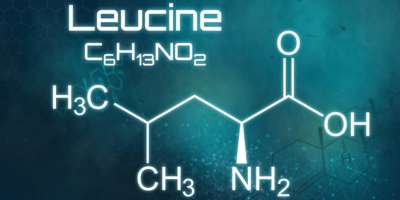 Chemische Formel von Leucin auf futuristischem Hintergrund