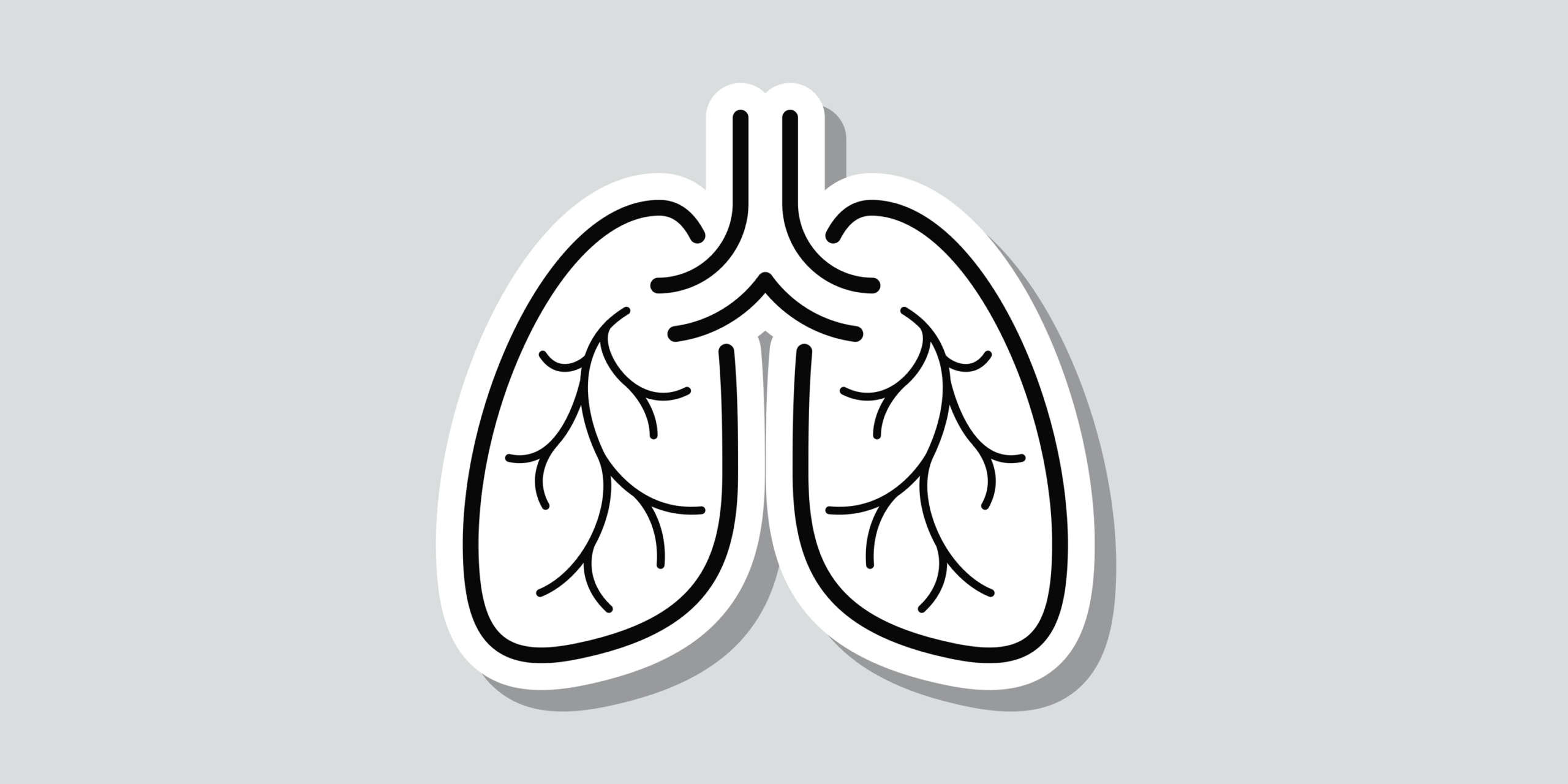 Wer braucht was bei Allergie und Asthma?