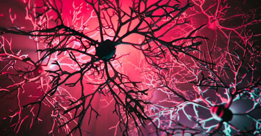 Erkrankung des Neuronensystems
