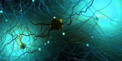 Signalübertragende Neuronen oder Nervenzellen - 3D-Darstellung