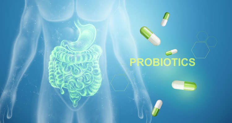 Bild von Darm und Pillen, Inschrift Probiotika
