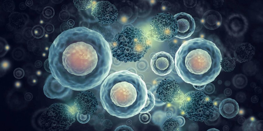 Krebszellen auf wissenschaftlichem Hintergrund. 3D-Darstellung