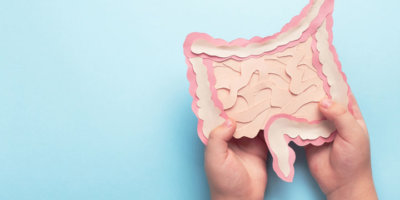 Child hands hold decorative model intestine on light blue background. Top view, copy space