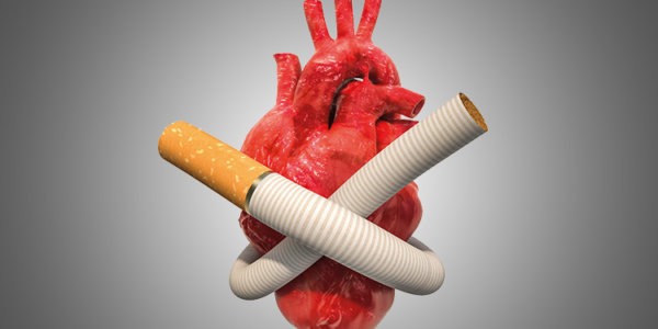 Ein menschliches Herz umschlungen von einer Zigarette