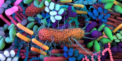 Das menschliche Mikrobiom, genetisches Material aller Mikroben, die auf und im menschlichen Körper leben.