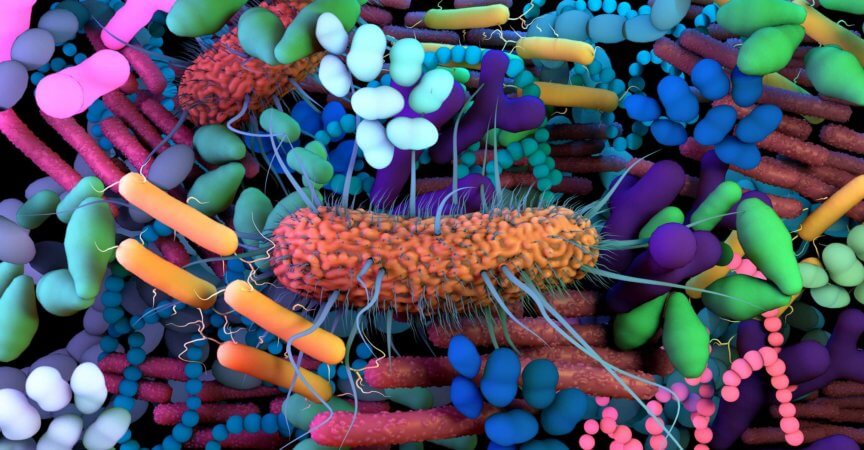 Das menschliche Mikrobiom, genetisches Material aller Mikroben, die auf und im menschlichen Körper leben.