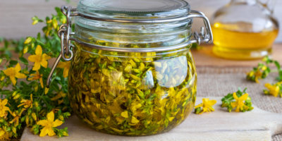 St. John's wort flowers macerating in olive oil in a glass jar